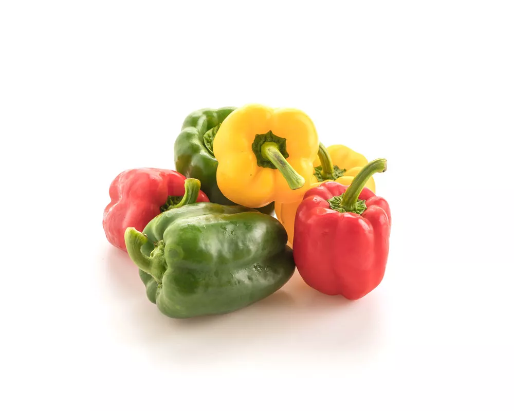 Bell Pepper