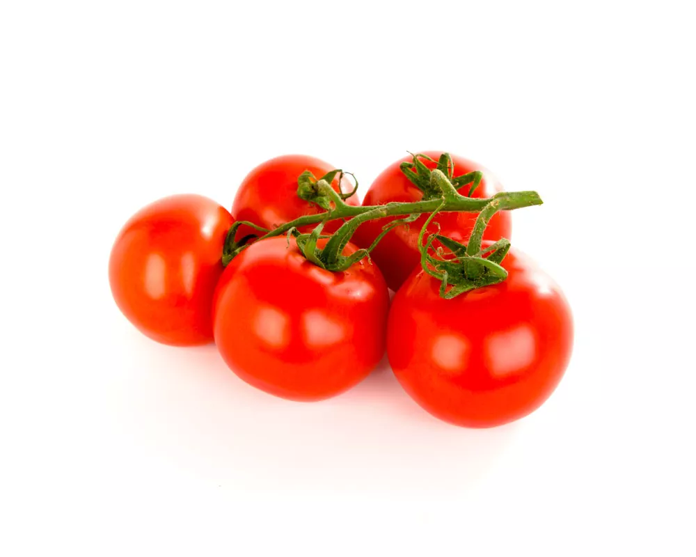 Tomatoe