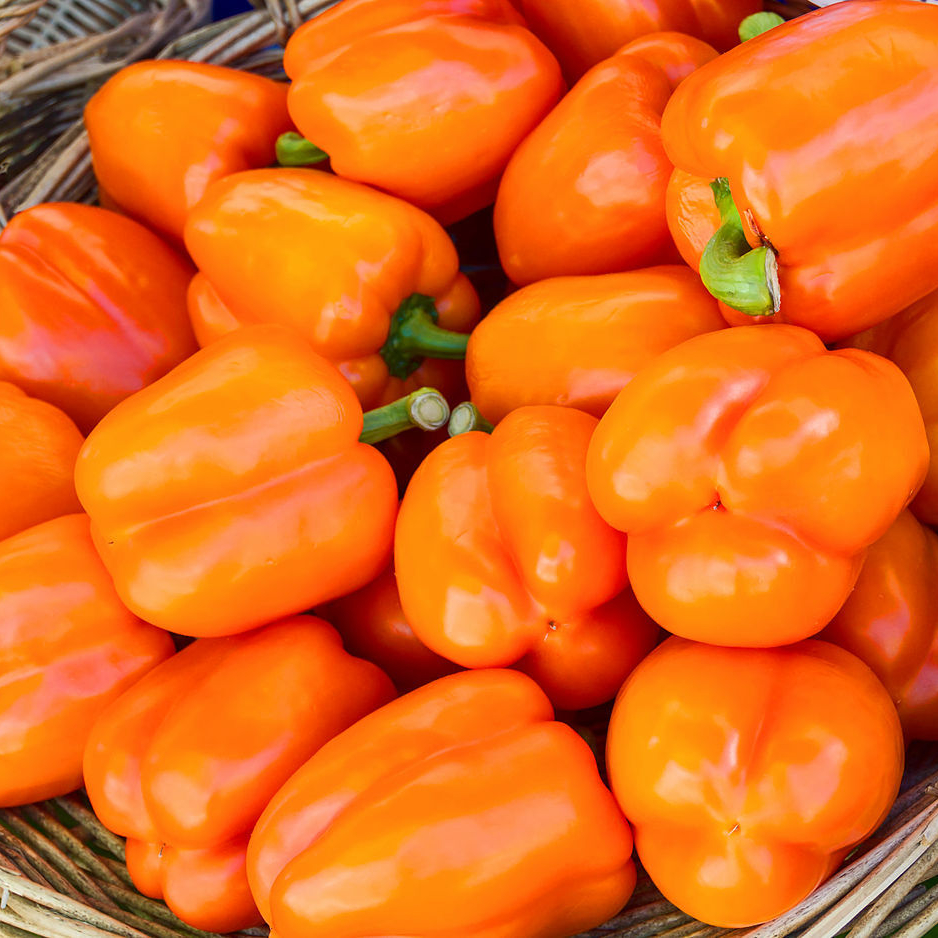 1280px-Orange_bell-peppers_Rouffignac-resized.jpg