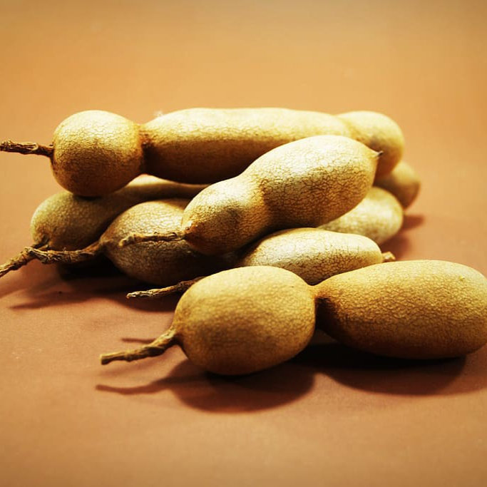africa-agriculture-brown-color-resized.jpg