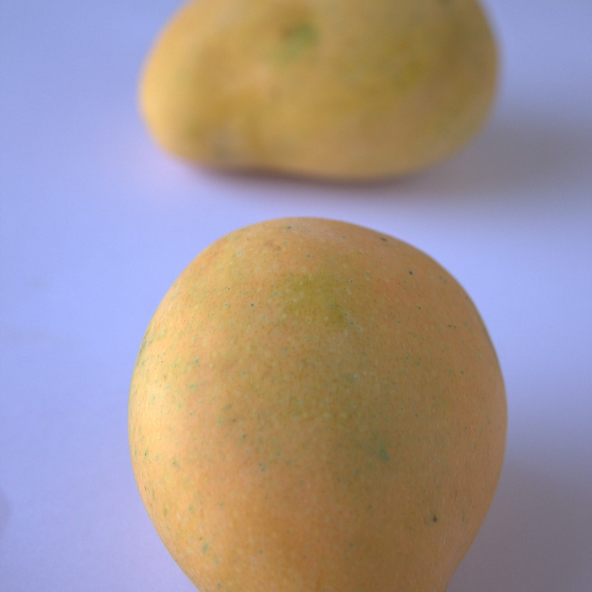 alphonso-mango-390422_1280-resized.jpg