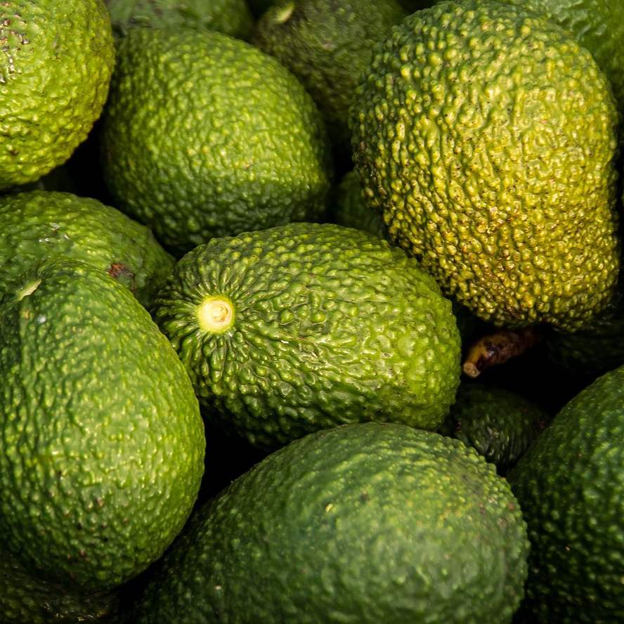 avocados-882635_1280-resized.jpg