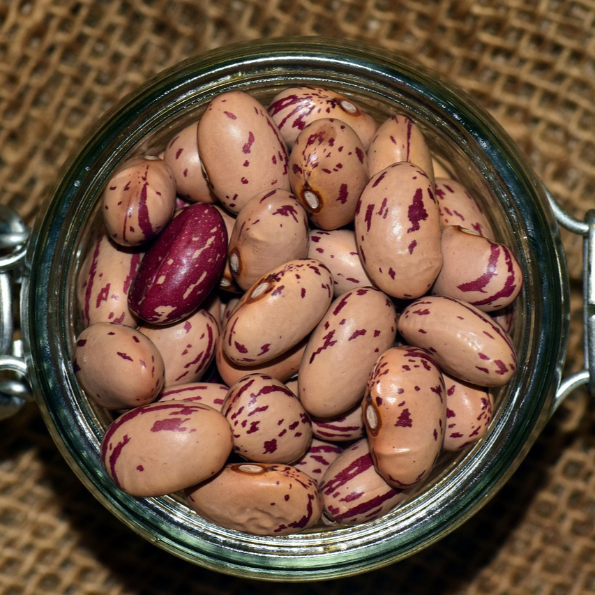 beans-2014156_1280-resized.jpg