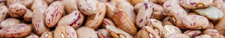 beans-raw-red-food-resized.jpg