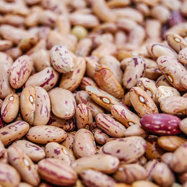 beans-raw-red-food-resized.jpg