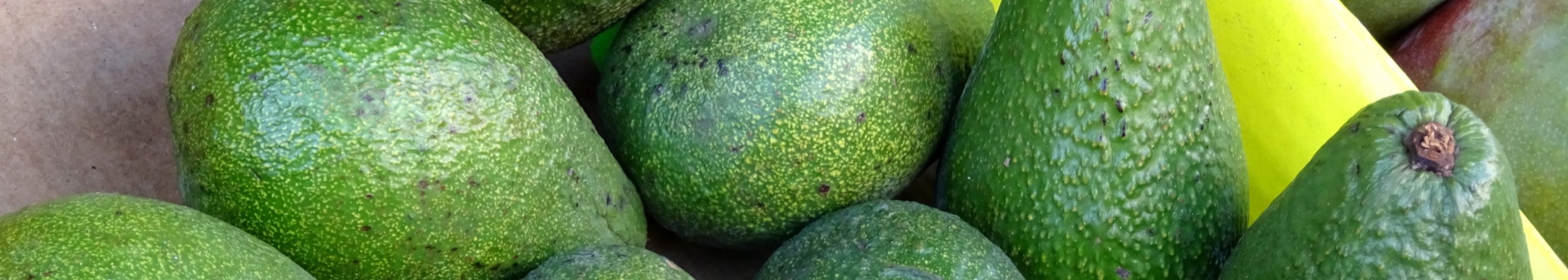 box-of-avocados-resized.jpg