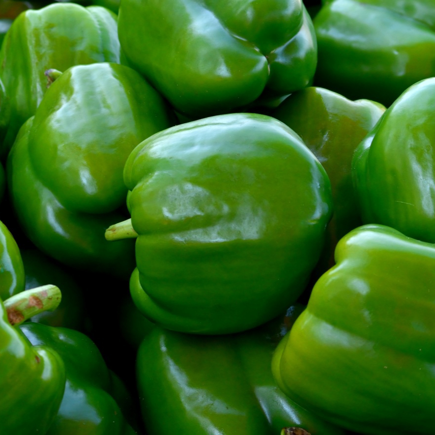 green-peppers-15572317779CD-resized.jpg