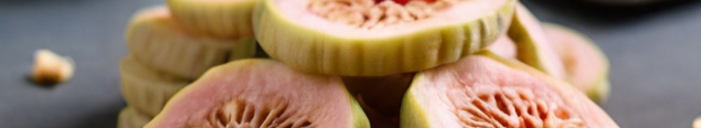 Leonardo_Diffusion_XL_dried_guava_slices_2-resized.jpg
