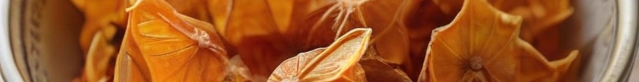 Leonardo_Diffusion_XL_dried_starfruit_dried_2-resized.jpg