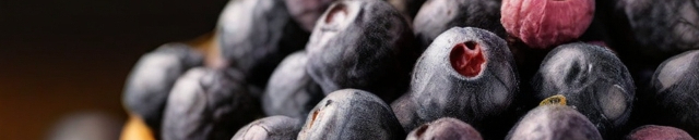 Leonardo_Diffusion_XL_freeze_dried_blueberries_0-resized.jpg