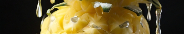 Leonardo_Diffusion_XL_frozen_pineapple_3-resized.jpg