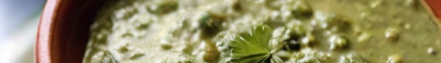 Leonardo_Diffusion_XL_salsa_verde_1-resized.jpg