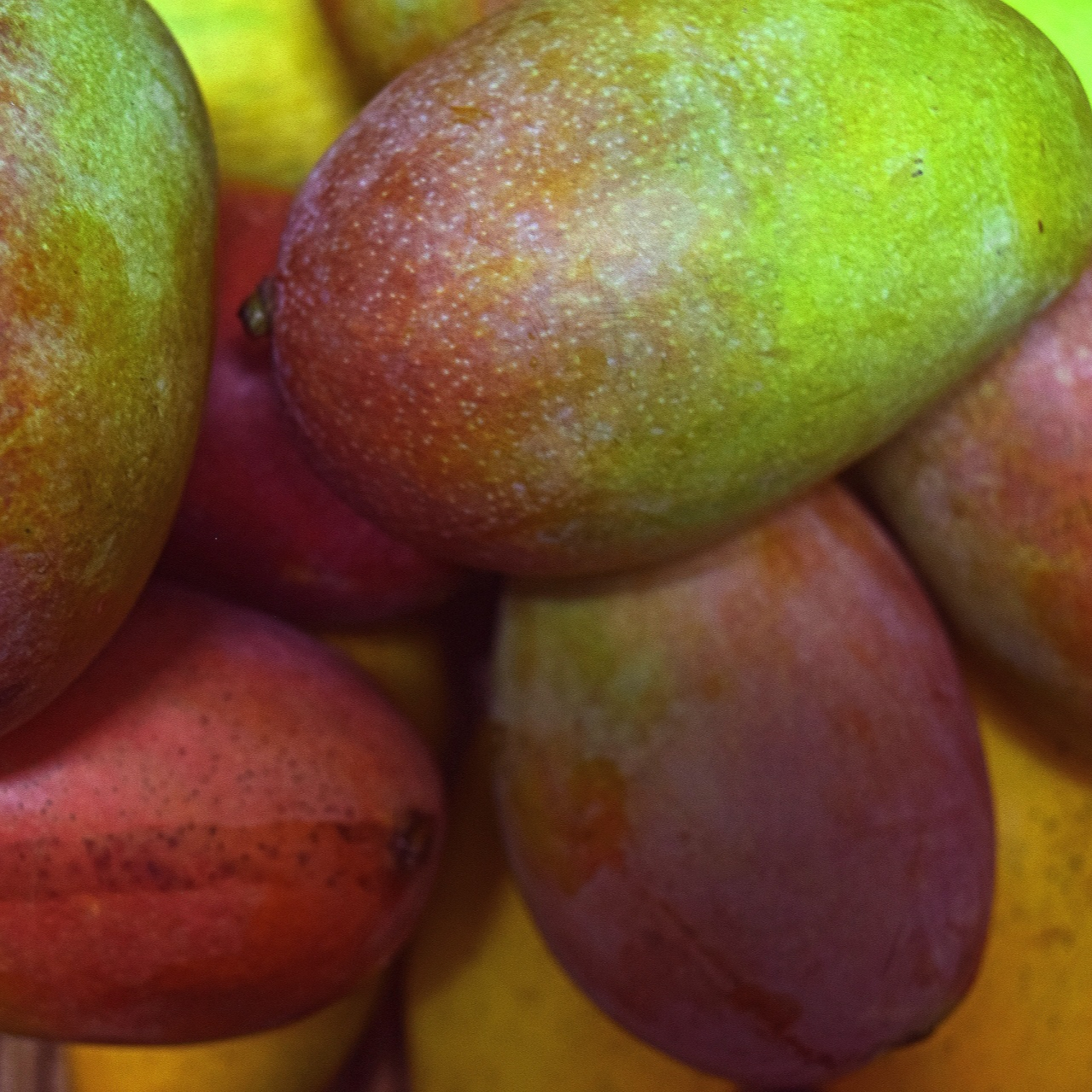 mangoes-14-resized.jpg