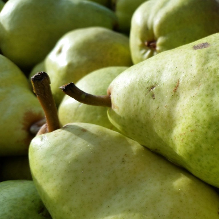 nature-plant-fruit-sweet-stem-ripe-928134-pxhere.com-resized.jpg