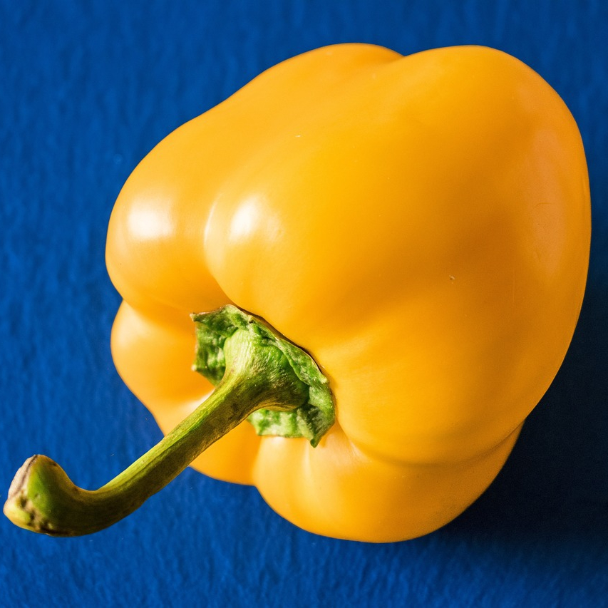 pepper-1998853_1280-resized.jpg