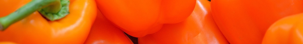 pepper-22093_1280-resized.jpg
