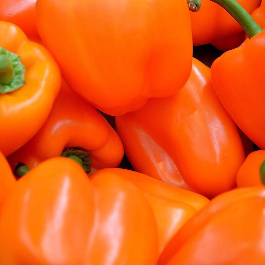 pepper-22093_1280-resized.jpg