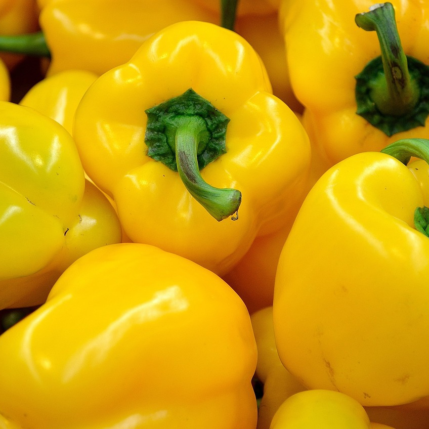 pepper-22111_1280-resized.jpg