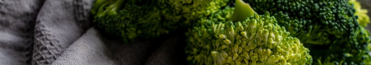 pexels-castorly-stock-3722583-resized.jpg
