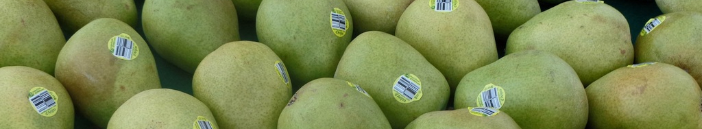 plant-fruit-food-green-produce-natural-590110-pxhere.com-resized.jpg