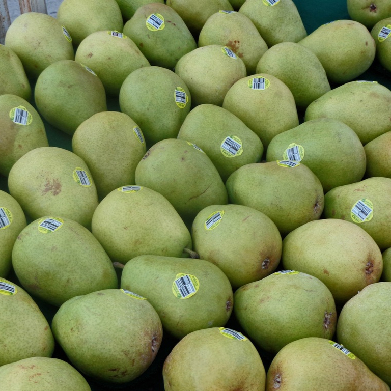 plant-fruit-food-green-produce-natural-590110-pxhere.com-resized.jpg