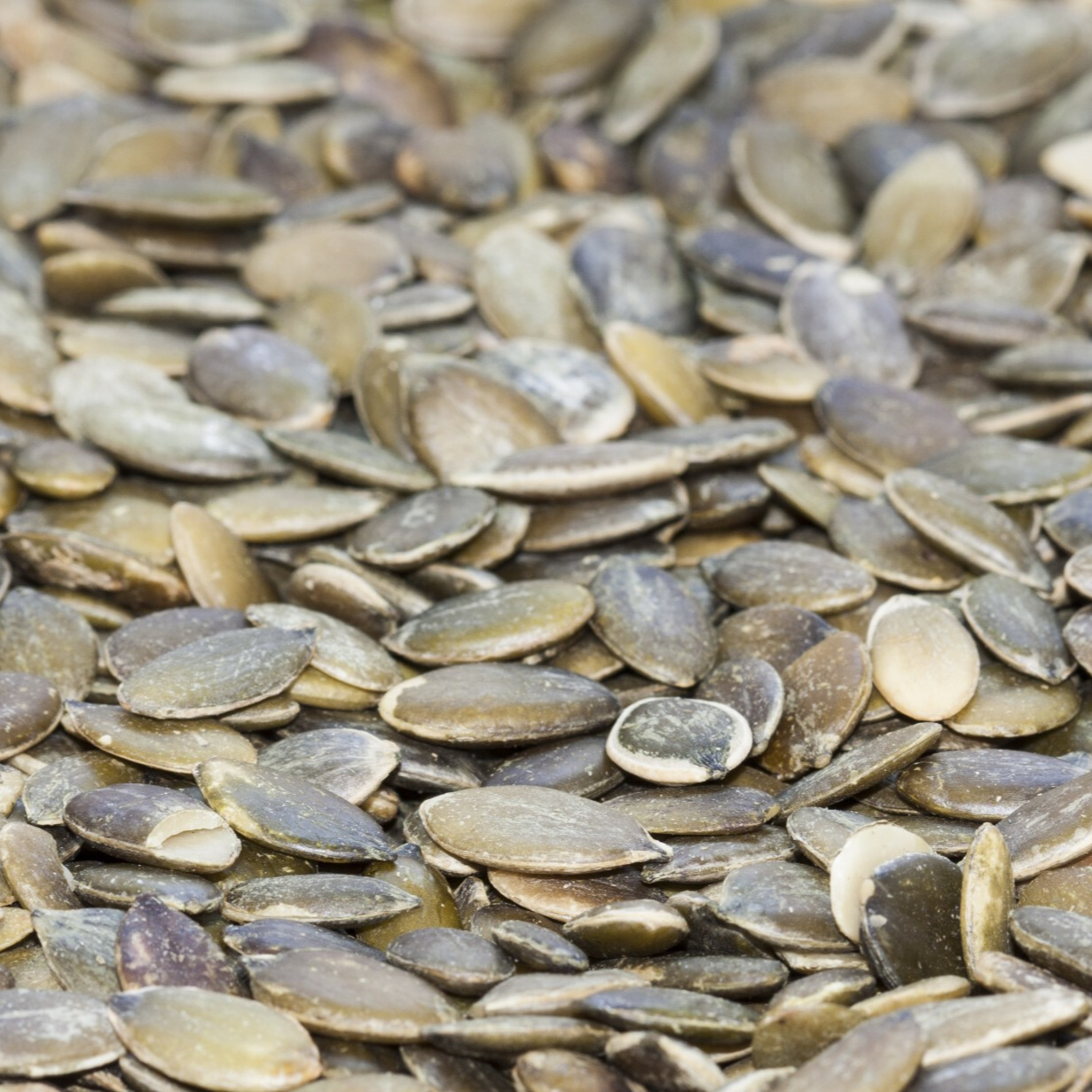 pumpkin-seeds-1408875114eSg-resized.jpg