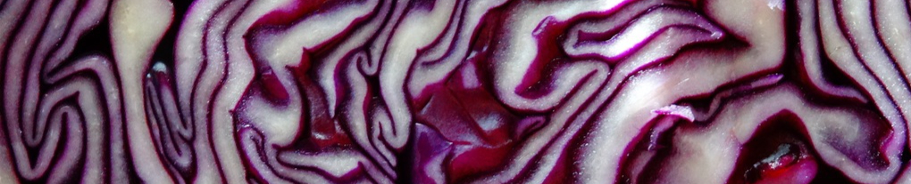 purple-food-red-produce-vegetable-cabbage-596607-pxhere.com-resized.jpg