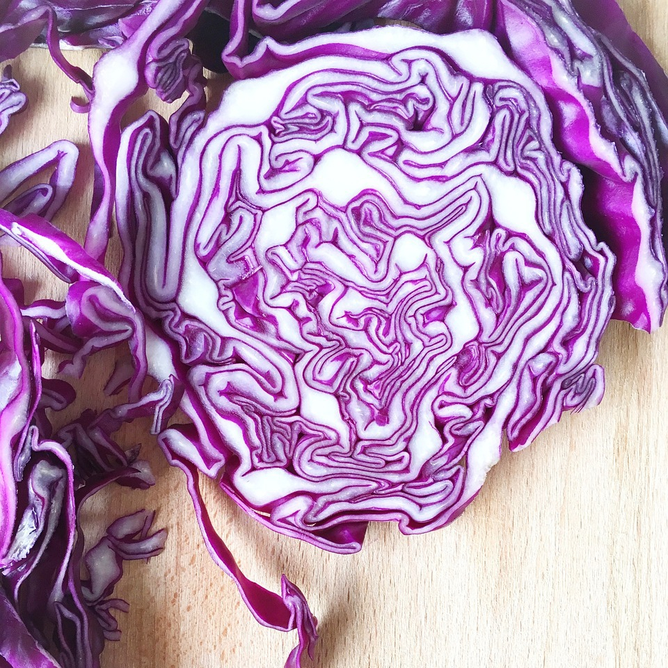 red-cabbage-3977862_1280-resized.jpg