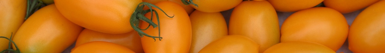 tomatoes-2716571_1280-resized.jpg