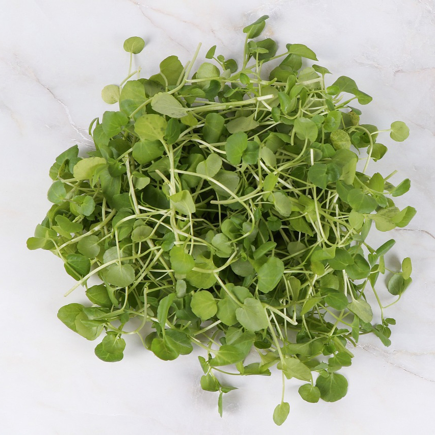 watercress-4153774_1280-resized.jpg