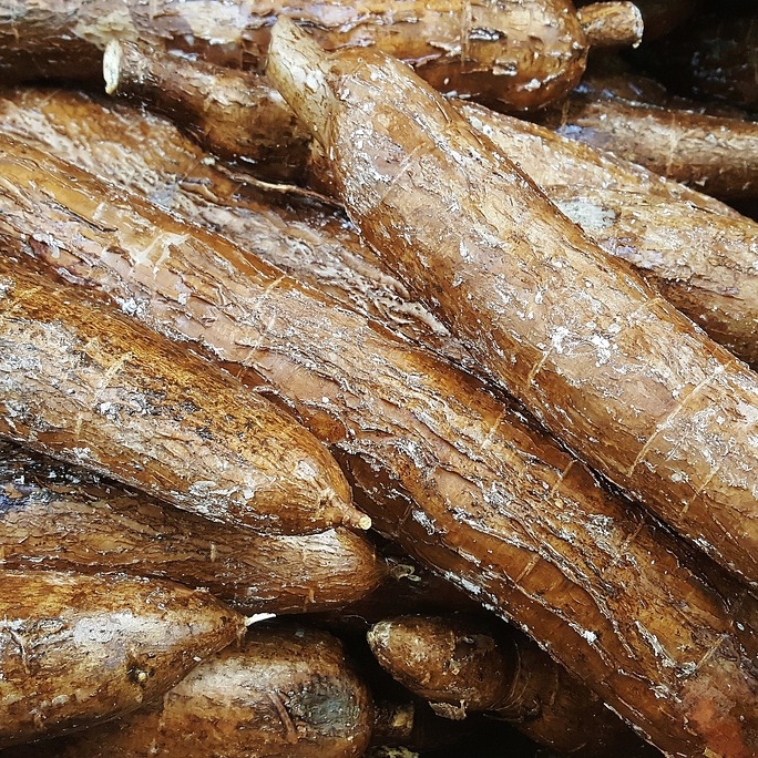 yuca-1353258_1280-resized.jpg