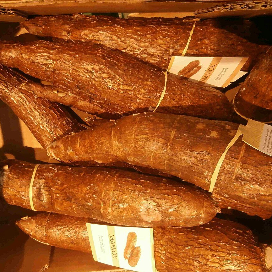 Yuca_box-resized.jpg