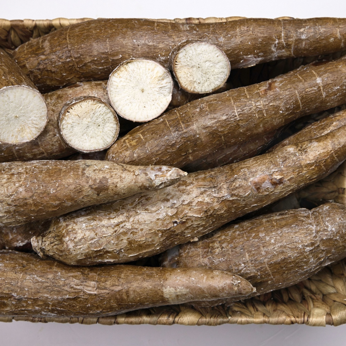 yucca-root-resized.jpg