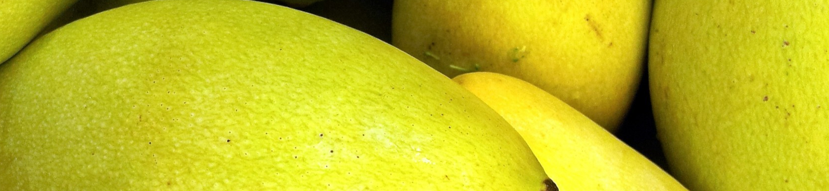 mango-in-pile-resized.jpg
